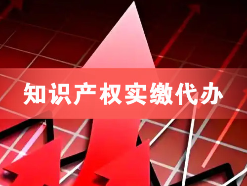 乐平知识产权实缴资本代办